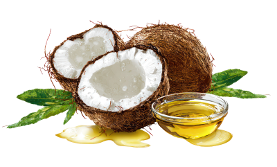 Coconut Oil